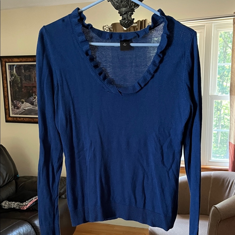 Ann Taylor Navy V-Neck Sweater